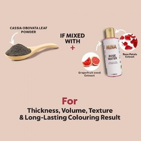 Mina iBrow Regular Pack & Coloring Tint Kit Up to 6 Week Dark Brown, Medium Brown, Light Brown, Black and Blonde Maquillage ...