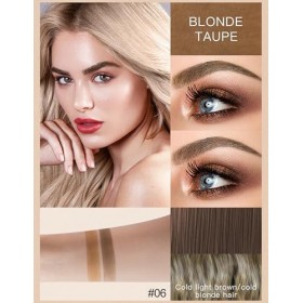 Erinde Poudre à sourcils 06