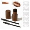 PerfectBrow Kit de pochoirs à sourcils, poudre imperméable et pochoir, 10 pochoirs à sourcils réutilisables et 2 pinceaux à s...