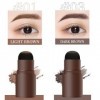 PerfectBrow Kit de pochoirs à sourcils, poudre imperméable et pochoir, 10 pochoirs à sourcils réutilisables et 2 pinceaux à s...