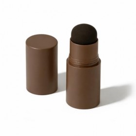 Kit de pochoirs à sourcils, poudre imperméable et pochoir pour sourcils, 10 pochoirs à sourcils réutilisables et 2 pinceaux à