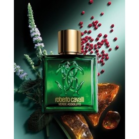 ROBERTO CAVALLI Uomo Verde Assoluto, Eau de Parfum pour Homme, Parfum Épicé Boisé, 100 ml