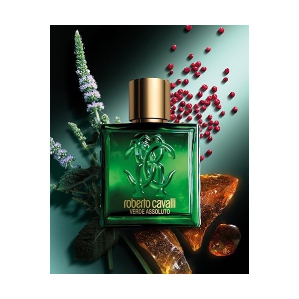 ROBERTO CAVALLI Uomo Verde Assoluto, Eau de Parfum pour Homme, Parfum Épicé Boisé, 100 ml
