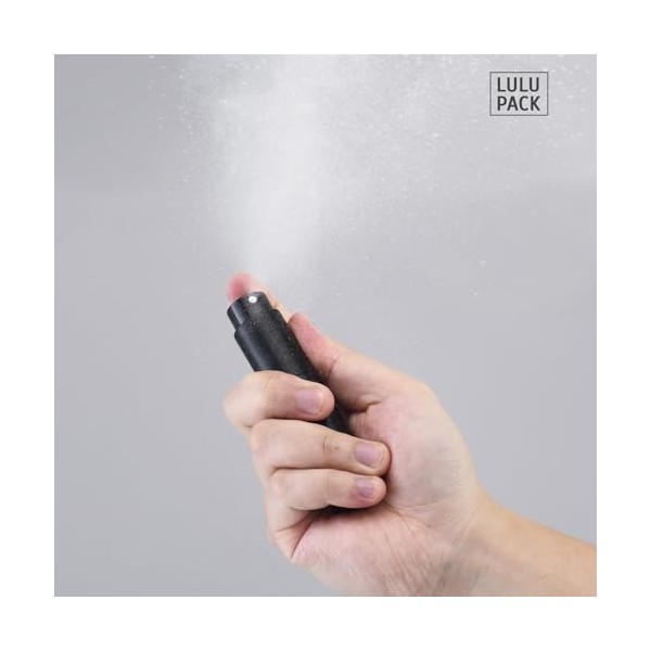 Lulupack 8ml Atomiseur de Parfum,Flacon Pulvérisateur deau de Cologne,Atomiseur Portable Rechargeable 4pcs, Séries Rouges Pa...