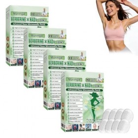 Paquet de 6 Boîtes Moringa X Berberine Patch 10 en 1, Patch Nano Microneedle Minceur, Ingrédients Naturels, Facile à Applique...