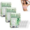 Paquet de 6 Boîtes Moringa X Berberine Patch 10 en 1, Patch Nano Microneedle Minceur, Ingrédients Naturels, Facile à Applique...