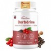 Berberine à haute puissance 1500 mg avec poivre noir – 60 capsules végétaliennes 2 mois – Berberine perte de poids – Fabriq