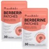 Patches De Ber-beriine Pour LÉquilibre Métabolique, Soutien À La Forme Saine, Autocollants DAide Au Métabolisme De Soutien 