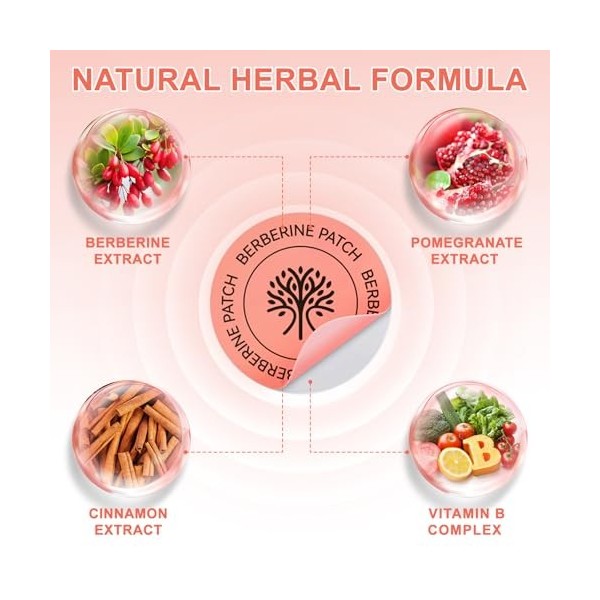 Patches De Ber-beriine Pour LÉquilibre Métabolique, Soutien À La Forme Saine, Autocollants DAide Au Métabolisme De Soutien 