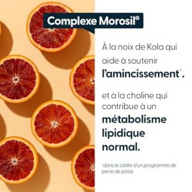 Complexe Morosil® 400 mg - Formule minceur - Efficacité cliniquement démontrée Brûleurs de graisse