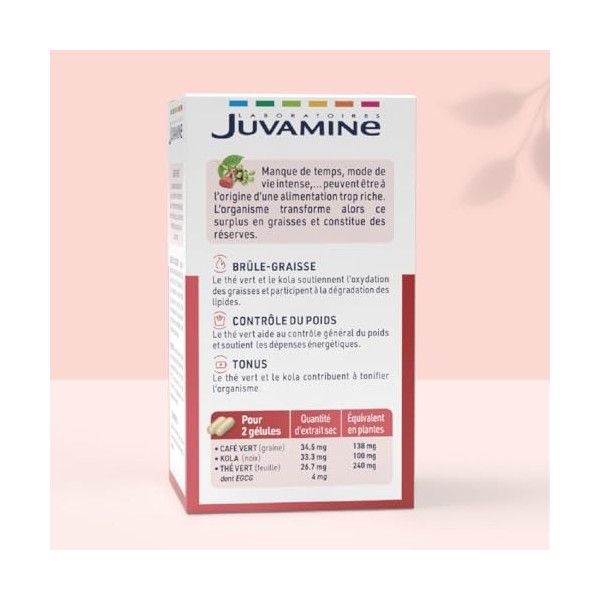 JUVAMINE - Brûle Graisse - Programme Minceur - Thé vert, Kola et Café Vert - Vegan - Aide au Contrôle Général du Poids - Cont...