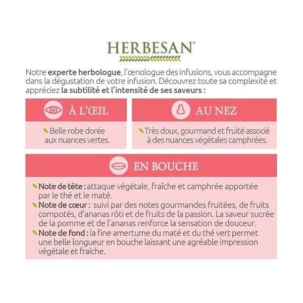 HERBESAN®-INFUSION MATE VERT BRÛLE GRAISSE BIOMaté vert, Thé vert, Guarana, Ananas - 20 sachets Lot de 2 Brûleurs de graisse