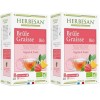 HERBESAN®-INFUSION MATE VERT BRÛLE GRAISSE BIOMaté vert, Thé vert, Guarana, Ananas - 20 sachets Lot de 2 Brûleurs de graisse