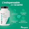 FAT BURNER | Brûleur de Graisses Action Minceur & Perte de Poids | Caféine, L-Carnitine, Nopal, Guarana, Gymnema & Griffonia 