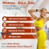 Brûleur de Graisse Puissant | Morosil® 400 mg, Kola, Zinc, Vitamine C | Perte de Poids Rapide et Efficace | Minceur Homme & F
