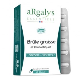Bruleur de graisse, Formule avec Guarana, Sinetrol® & Probiotiques - Minceur - Perte de Poids, Boost du Métabolisme & Digesti