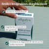 Bruleur de graisse, Formule avec Guarana, Sinetrol® & Probiotiques - Minceur - Perte de Poids, Boost du Métabolisme & Digesti