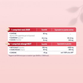 JUVAMINE - Expert Brûle Graisse Jour et Nuit - Contribue à Brûler les Graisses, Eliminer les Toxines, Réduire laspect Cellul ...