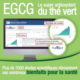Tepigal 300 : EGCG épigallocatéchine Pureté ≥ 95% | Dosage Clinique 300 mg | Boost métabolisme, énergie, Focus | Fabriqué e