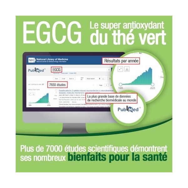 Tepigal 300 : EGCG épigallocatéchine Pureté ≥ 95% | Dosage Clinique 300 mg | Boost métabolisme, énergie, Focus | Fabriqué e