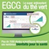 Tepigal 300 : EGCG épigallocatéchine Pureté ≥ 95% | Dosage Clinique 300 mg | Boost métabolisme, énergie, Focus | Fabriqué e
