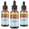 Weightberry Forte gouttes | avec des ingrédients naturels | pour les hommes & les femmes | contenu 30 ml 1x Brûleurs de graisse