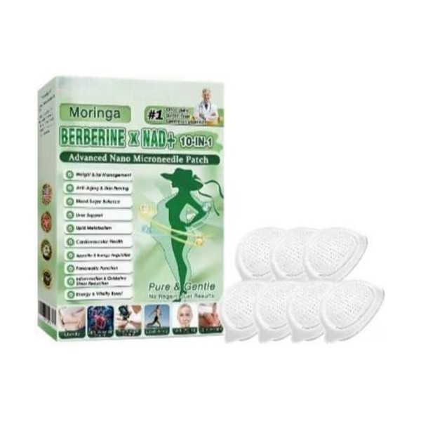 Moringa Patchs Minceurs 10 en 1, Patch Nano Microneedle Minceur, Ingrédients Naturels, Facile à Appliquer, Invisible Sous les...