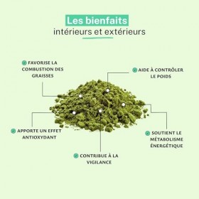 Café Vert Extrait 15% Acide Chlorogénique Poudre 500 g – Énergie Naturelle, Soutien du Métabolisme & Protection Cellulaire | ...