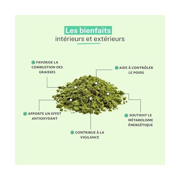 Café Vert Extrait 15% Acide Chlorogénique Poudre 500 g – Énergie Naturelle, Soutien du Métabolisme & Protection Cellulaire | ...