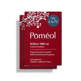 Brûleur de Graisse Puissant & Efficace 1000 Cal ǀ Complément alimentaire Minceur ǀ Programme Perte de poids ǀ Brûleur 1000 ǀ ...