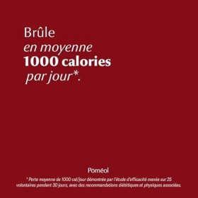 Brûleur de Graisse Puissant & Efficace 1000 Cal ǀ Complément alimentaire Minceur ǀ Programme Perte de poids ǀ Brûleur 1000 ǀ ...