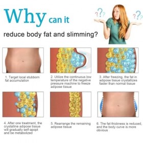 Machine de congélation des graisses 400W Cryolipolysis Appareil minceur avec 3 poignées pour raffermir la peau et perdre du p