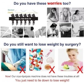 Cryolipolysis Machine de congélation des graisses avec 3 poignées Appareil minceur et perte de poids pour bras et taille