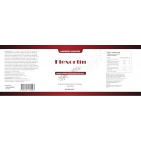 Flexortin – Formule végétale moderne aux extraits naturels, 60 capsules – 450 mg