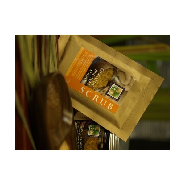 Set WellFit café vert