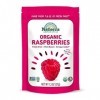 Natierra Natures All Foods Freeze-Dried Raspberries, 1.3 Ounce