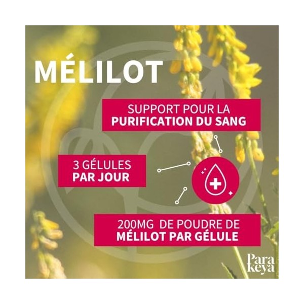 Parakeya Mélilot Circulation | Confort des Jambes Légères & Soutien Vasculaire | Complément Alimentaire Naturel 200mg | Forma...