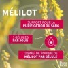 Parakeya Mélilot Circulation | Confort des Jambes Légères & Soutien Vasculaire | Complément Alimentaire Naturel 200mg | Forma...