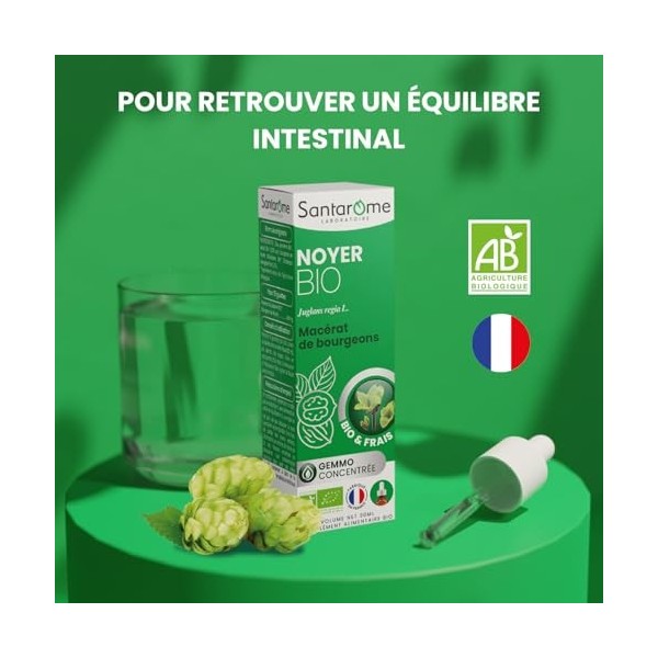 Santarome - Noyer Bio - Gemmothérapie - Macérat de bourgeons frais - Digestion et équilibre intestinal - Complément alimentai...