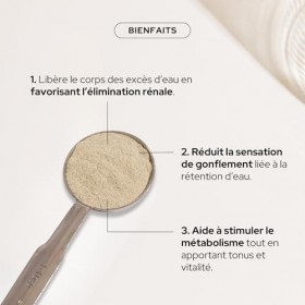 EPYCURE - Poudre Drainante - Détox, Contrôle du Poids, Coupe-Faim Naturel - 100% Naturel - Guarana, Maté Vert, Spiruline - 1 