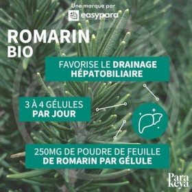 Parakeya Romarin Bio | Soutien Hépatique & Biliaire | Complément Alimentaire Détox Foie & Digestion | Cure longue durée| Drai...