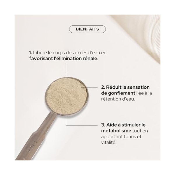 EPYCURE - Poudre Drainante - Détox, Contrôle du Poids, Coupe-Faim Naturel - 100% Naturel - Guarana, Maté Vert, Spiruline - 1 