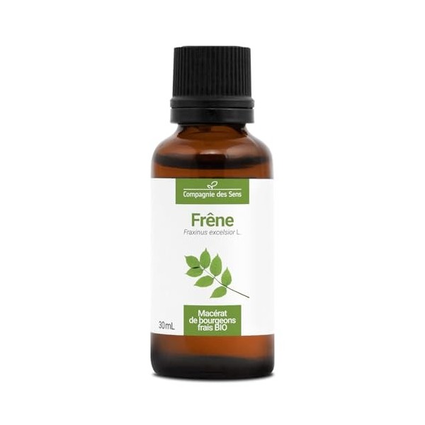 Frêne BIO - 30mL - Fraxinus Excelsior – Macérat concentré de bourgeons frais Diurétiques