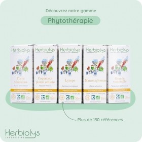 Herbiolys | Extrait De Plantes Fraîches Bio | Petite Pervenche Vinca minor | Mémoire & Troubles ORL | Phytothérapie Bio | 5 D...
