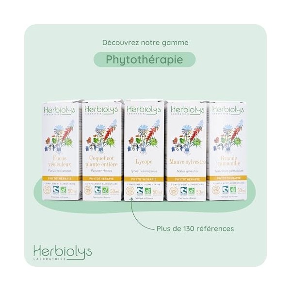 Herbiolys | Extrait De Plantes Fraîches Bio | Petite Pervenche Vinca minor | Mémoire & Troubles ORL | Phytothérapie Bio | 5 D...