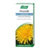 A.VOGEL - Pissenlit - Complément alimentaire digestion - Favorise la détoxification du foie et des reins - Améliore le métabo