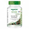 Fairvital | Extrait de forskoline - 90 gélules - à base dextrait de Coleus Forskohlii - qualité contrôlée et haute dose - 10