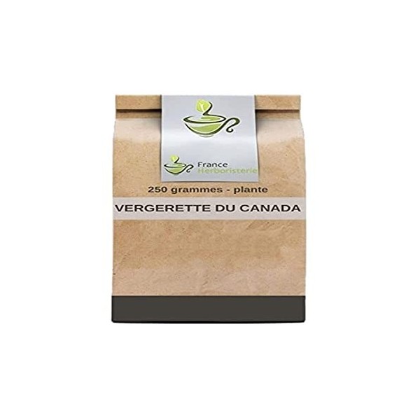 Tisane Vergerette du Canada Erigeron plante CT 250 GRS Erigeron Canad