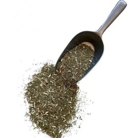 Tisane Vergerette du Canada Erigeron plante CT 250 GRS Erigeron Canad