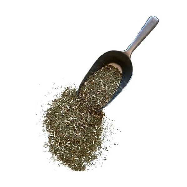 Tisane Vergerette du Canada Erigeron plante CT 250 GRS Erigeron Canad